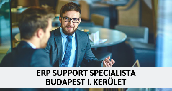 ERP support specialista