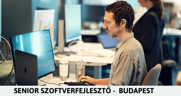 Senior szoftverfejlesztő - Budapest